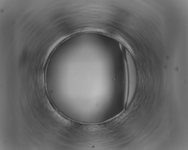 X0000073421092200608251544