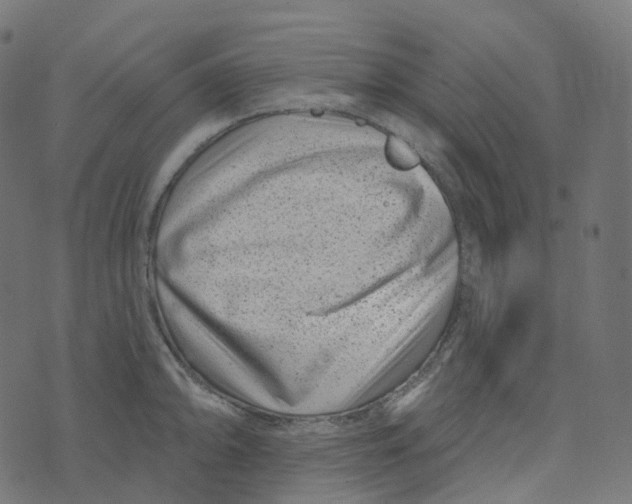 X0000073421094200608251544