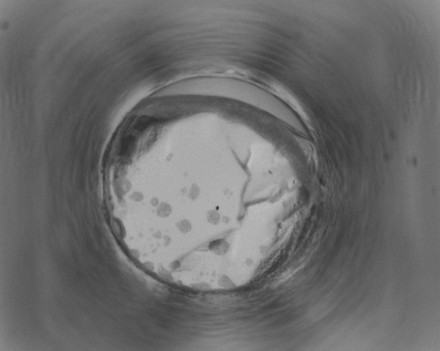 X0000073421095200608251544