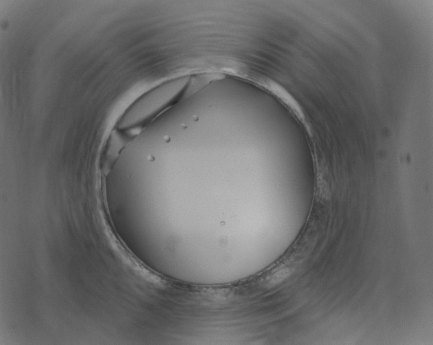 X0000073421096200608251544