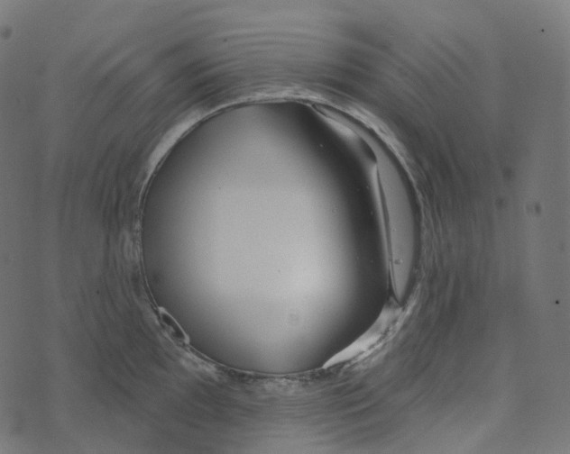 X0000073421097200608251544