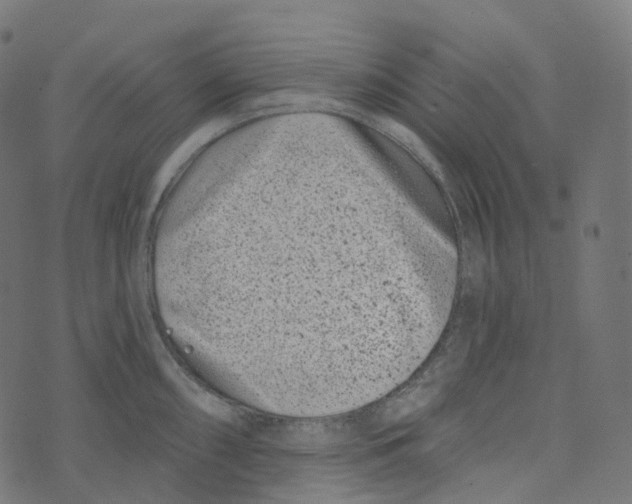 X0000073421098200608251544