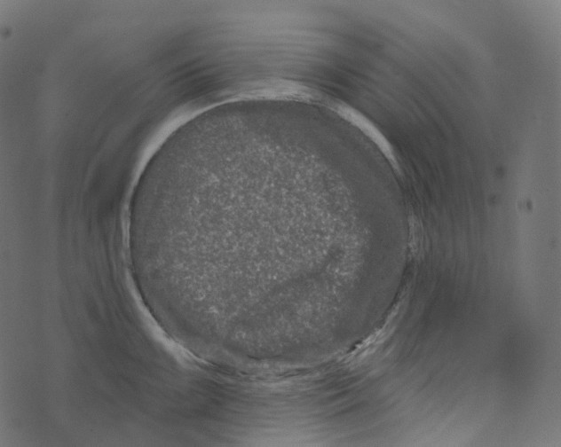 X0000073421099200608251544