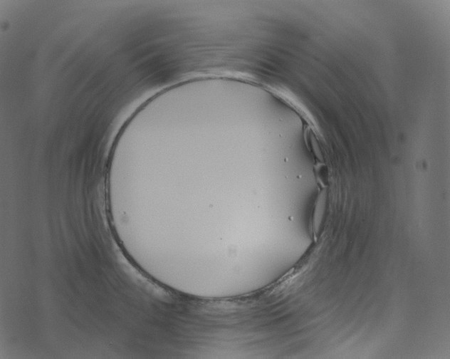 X0000073421100200608251544