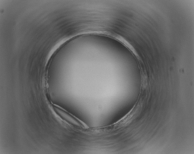 X0000073421101200608251544