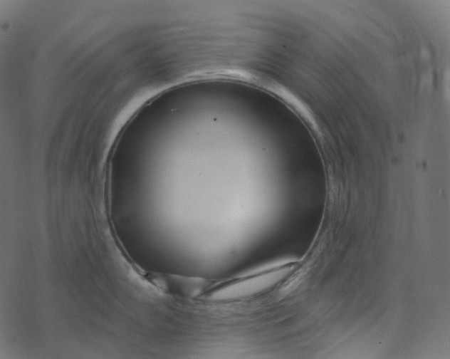 X0000073421102200608251544