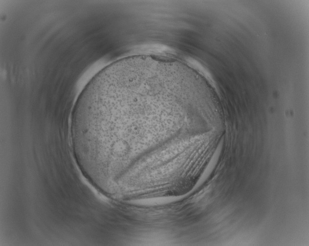 X0000073421103200608251544