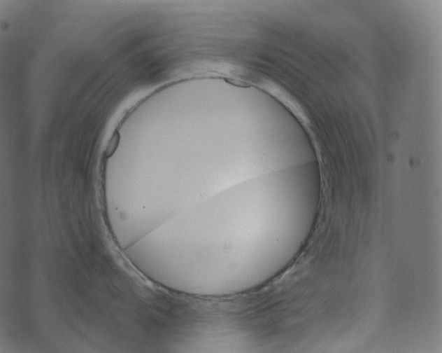 X0000073421104200608251544