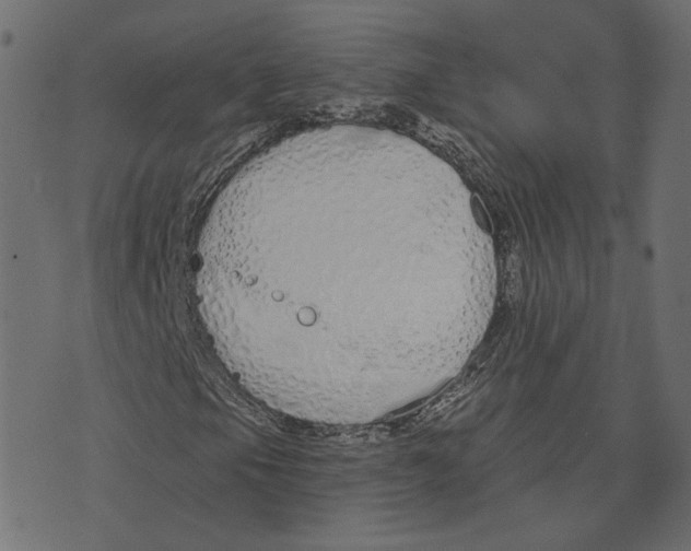 X0000073421105200608251543