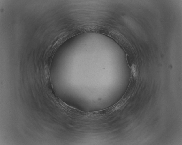 X0000073421107200608251543