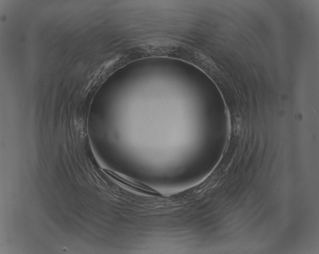 X0000073421108200608251543