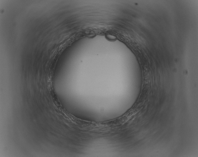 X0000073421109200608251543