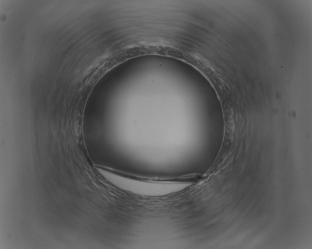 X0000073421110200608251543