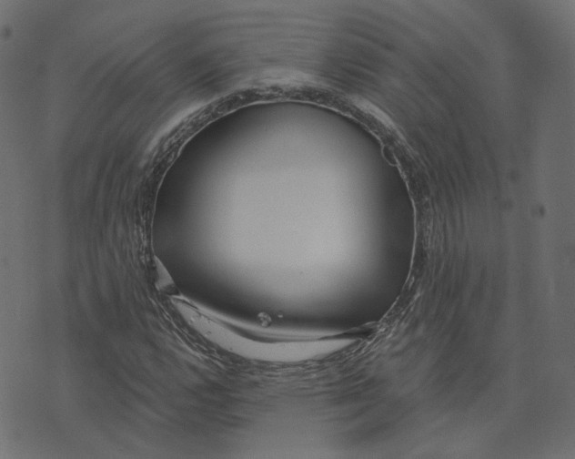 X0000073421112200608251543