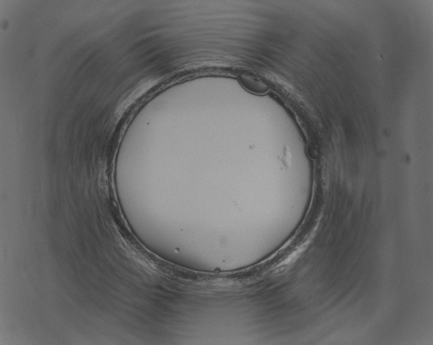 X0000073421113200608251543