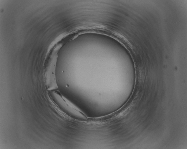 X0000073421114200608251543