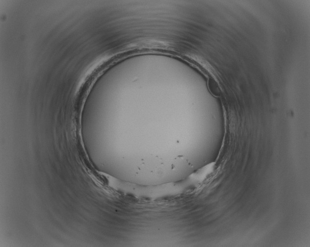 X0000073421115200608251543