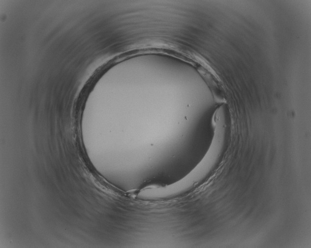 X0000073421116200608251543