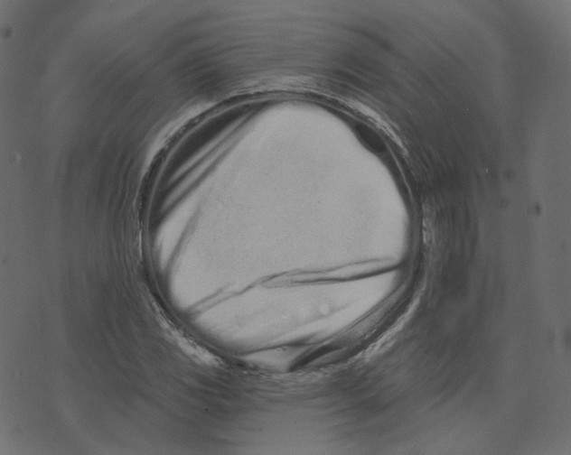 X0000073421117200608251543