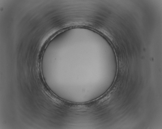 X0000073421119200608251543