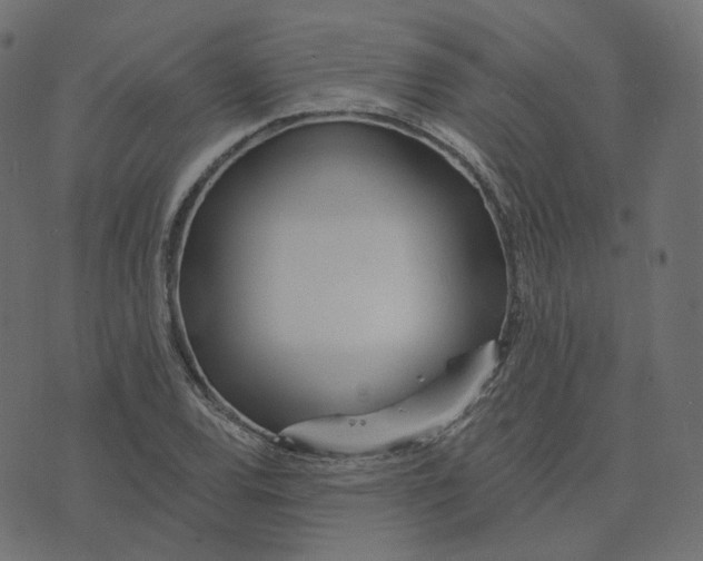 X0000073421120200608251543