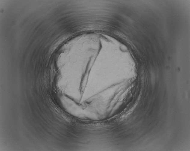 X0000073421121200608251543