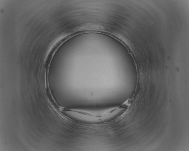 X0000073421123200608251543