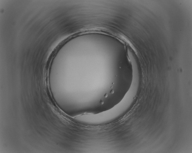 X0000073421124200608251543