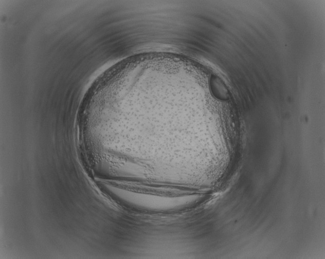 X0000073421125200608251543