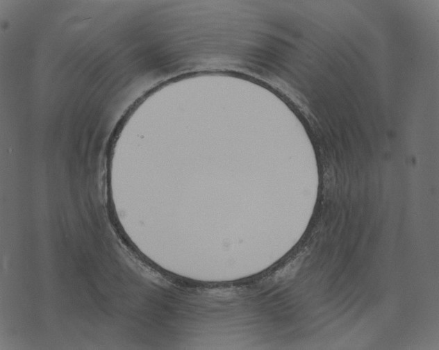 X0000073421126200608251543