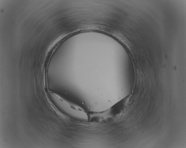 X0000073421127200608251543