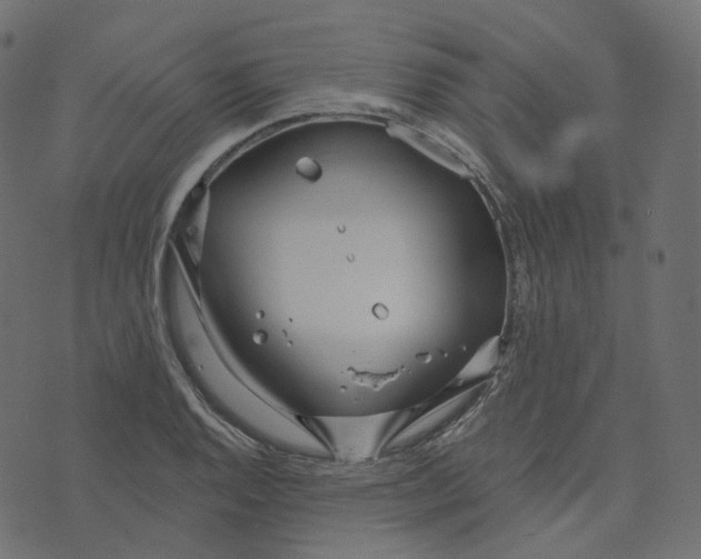 X0000073421128200608251543