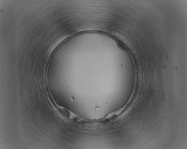 X0000073421129200608251543