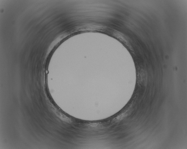 X0000073421130200608251543