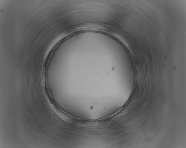 X0000073421131200608251543