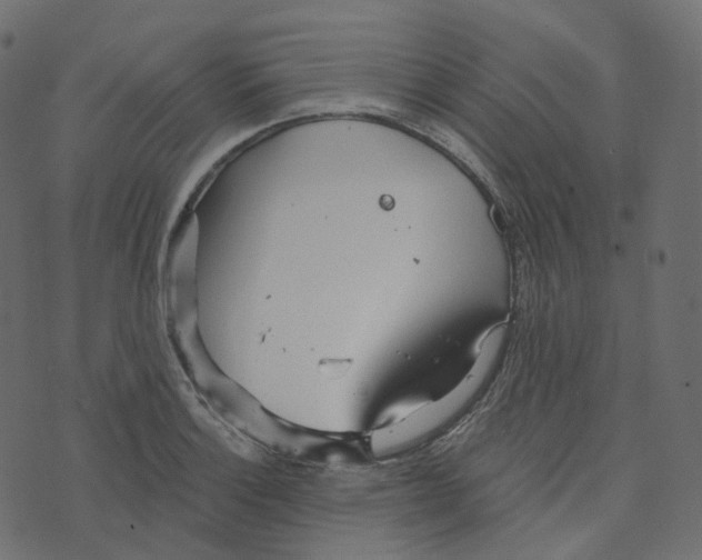 X0000073421132200608251543