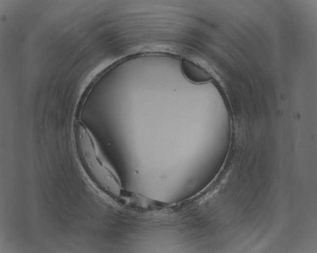 X0000073421133200608251543