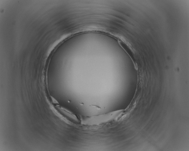 X0000073421134200608251543