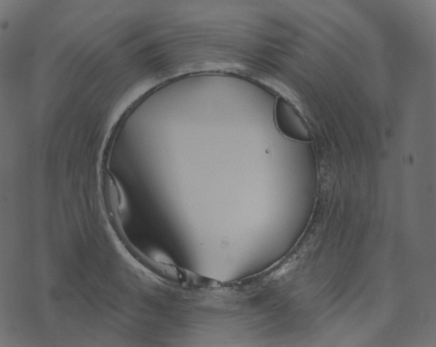 X0000073421135200608251543