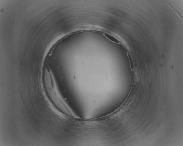 X0000073421136200608251543