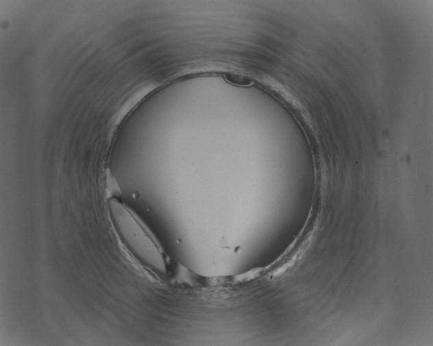 X0000073421137200608251543