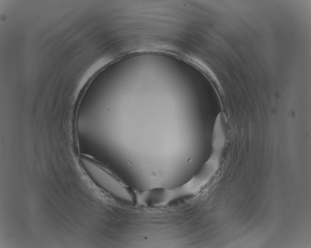 X0000073421138200608251543