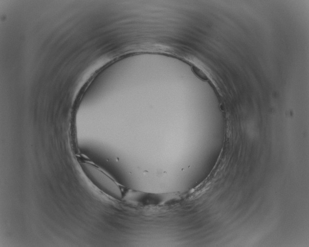 X0000073421139200608251543