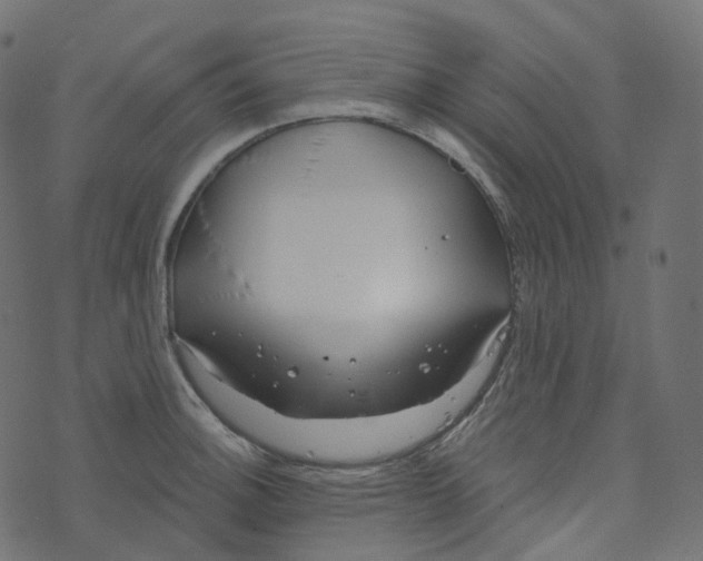 X0000073421140200608251543