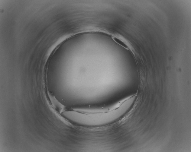 X0000073421142200608251543