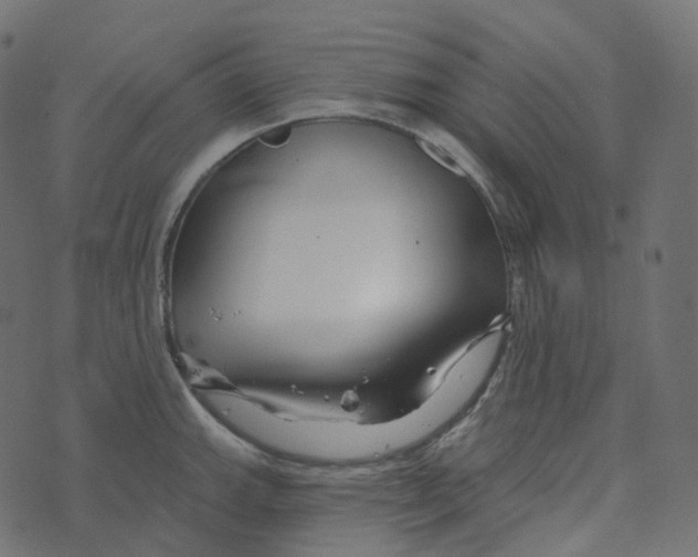 X0000073421143200608251543