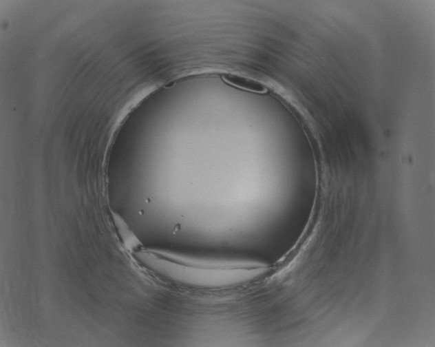 X0000073421145200608251543