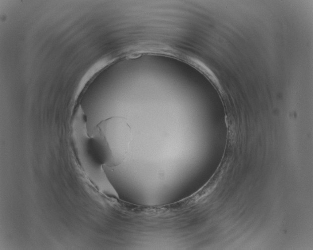 X0000073421146200608251543