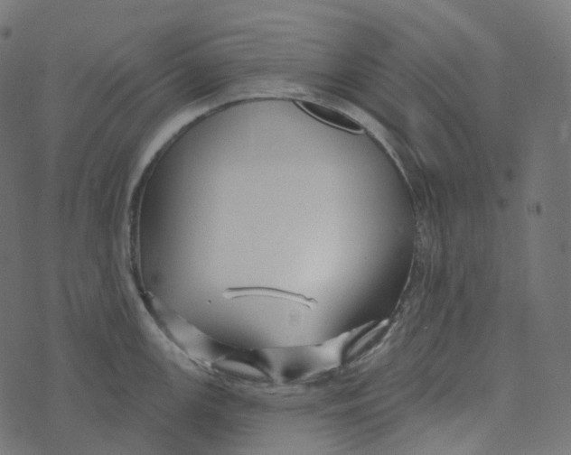 X0000073421147200608251543