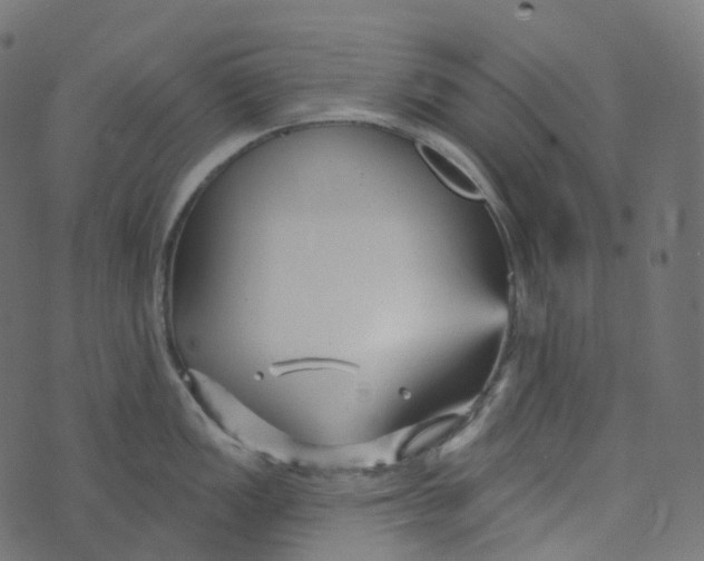 X0000073421149200608251543